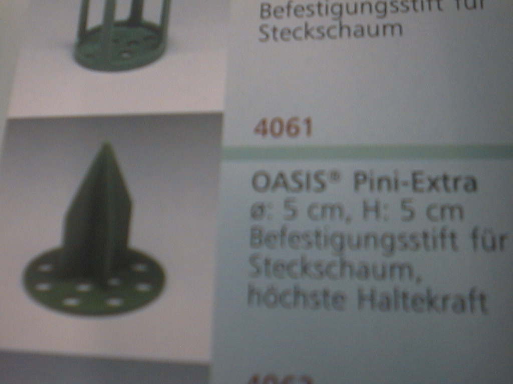 Oasis® Pini grün 31-04061 extra Ø=5cm x H=5cm