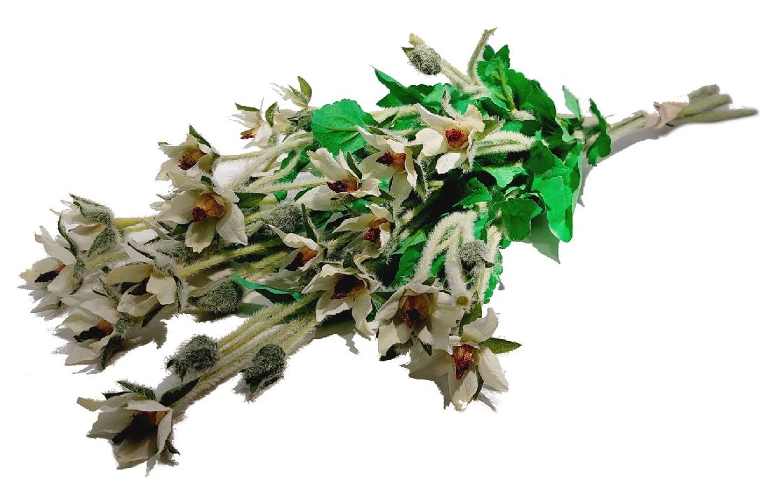 Wild Christrose WEISS 100 x2 Länge:60cm