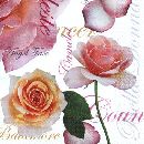 Servietten 33cm Design WEISS-ROSA Bella Donna 368025