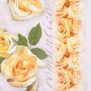 Servietten 33cm Design CREME Romantico