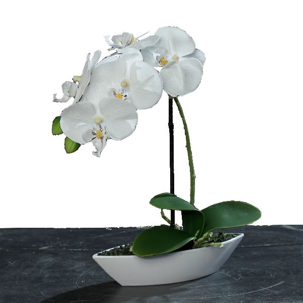 Orchideen Arrangement WEISS Gesamthöhe ca. 30 cm in Kunststoffschale 60279